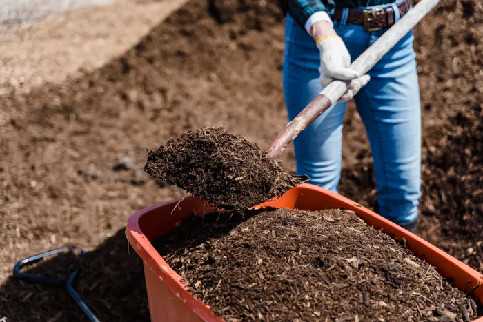 Choosing a Simple Setup for Backyard Composting