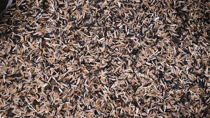 Keeping Notes About Your Backyard Composting Progress
