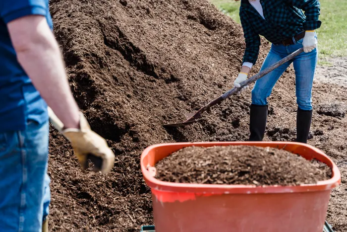 Building a Repeatable Backyard Composting Routine
